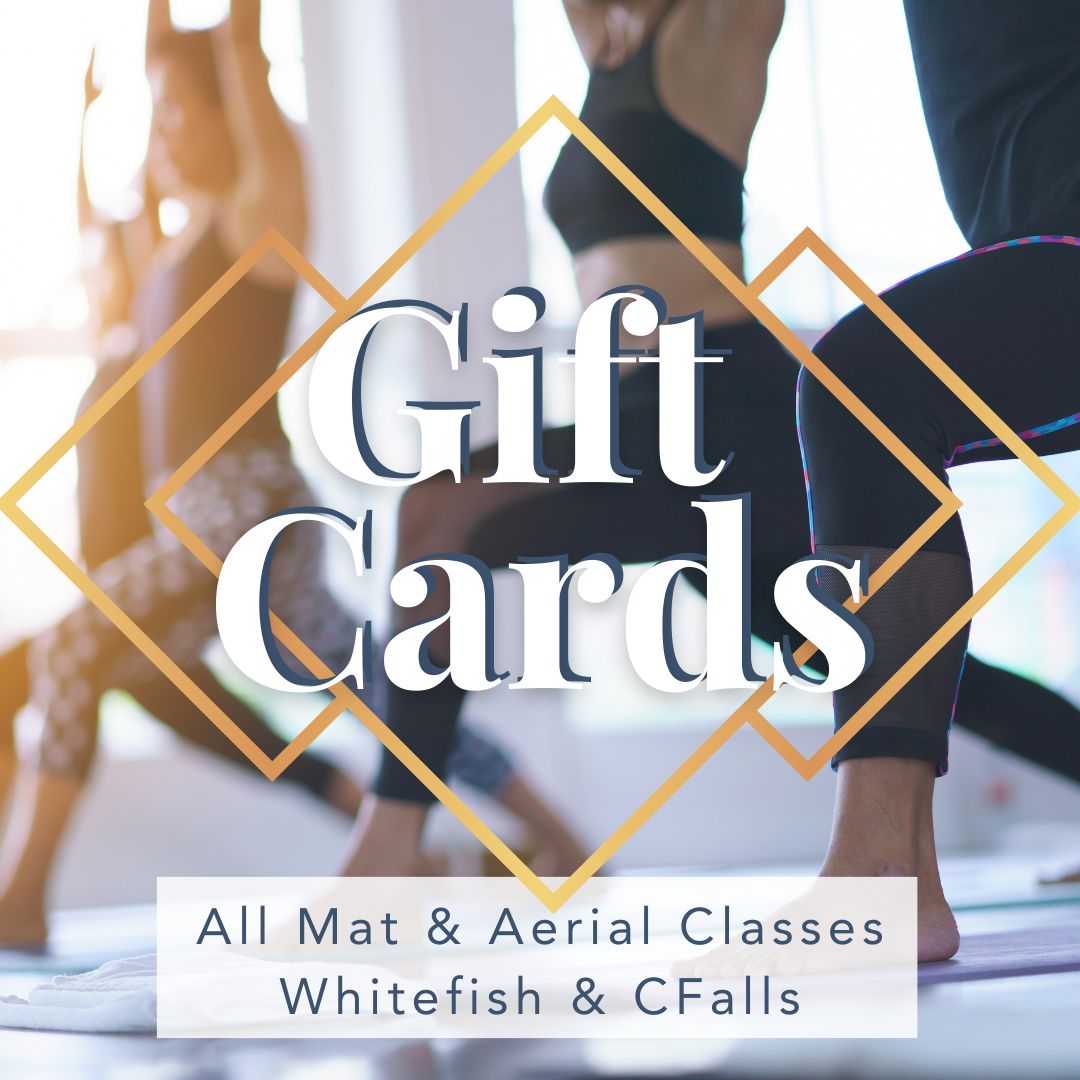 Make the best holiday memories!! 🧚✨ Beginner aerial yoga classes coming up  - 12/23 & 12/30! Online gift cards are available in…